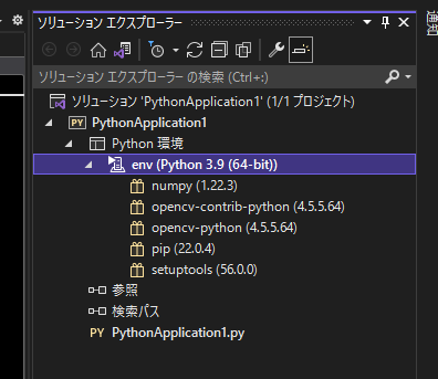 vs2022 python